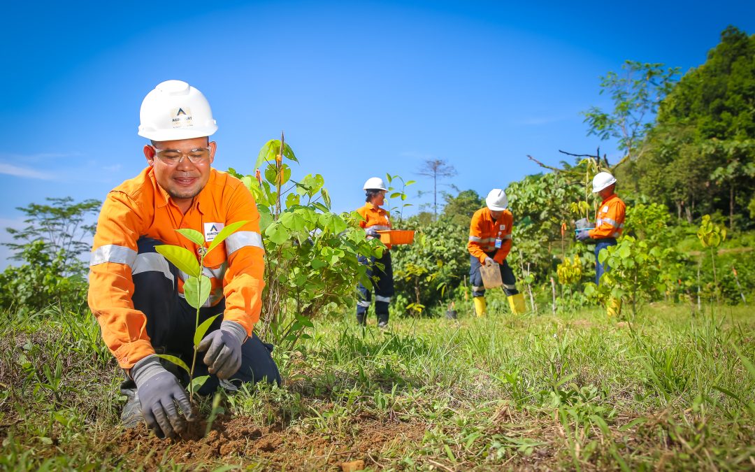 Peningkatan Kualitas Lahan Bekas Tambang Melalui Reklamasi Agincourt