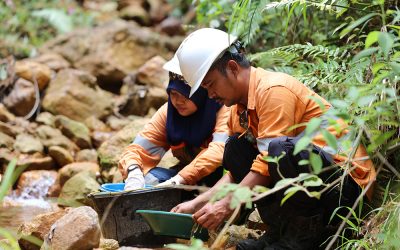 Potensi Saham Tambang Emas di Indonesia