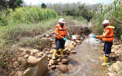 Simak Pengelolaan Lingkungan yang Dilakukan di Tambang Martabe 