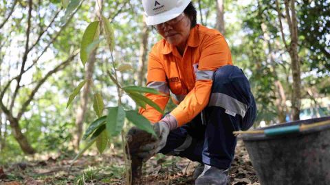 Recovery, Reklamasi, Restorasi Dan Rehabilitasi Lahan Tambang