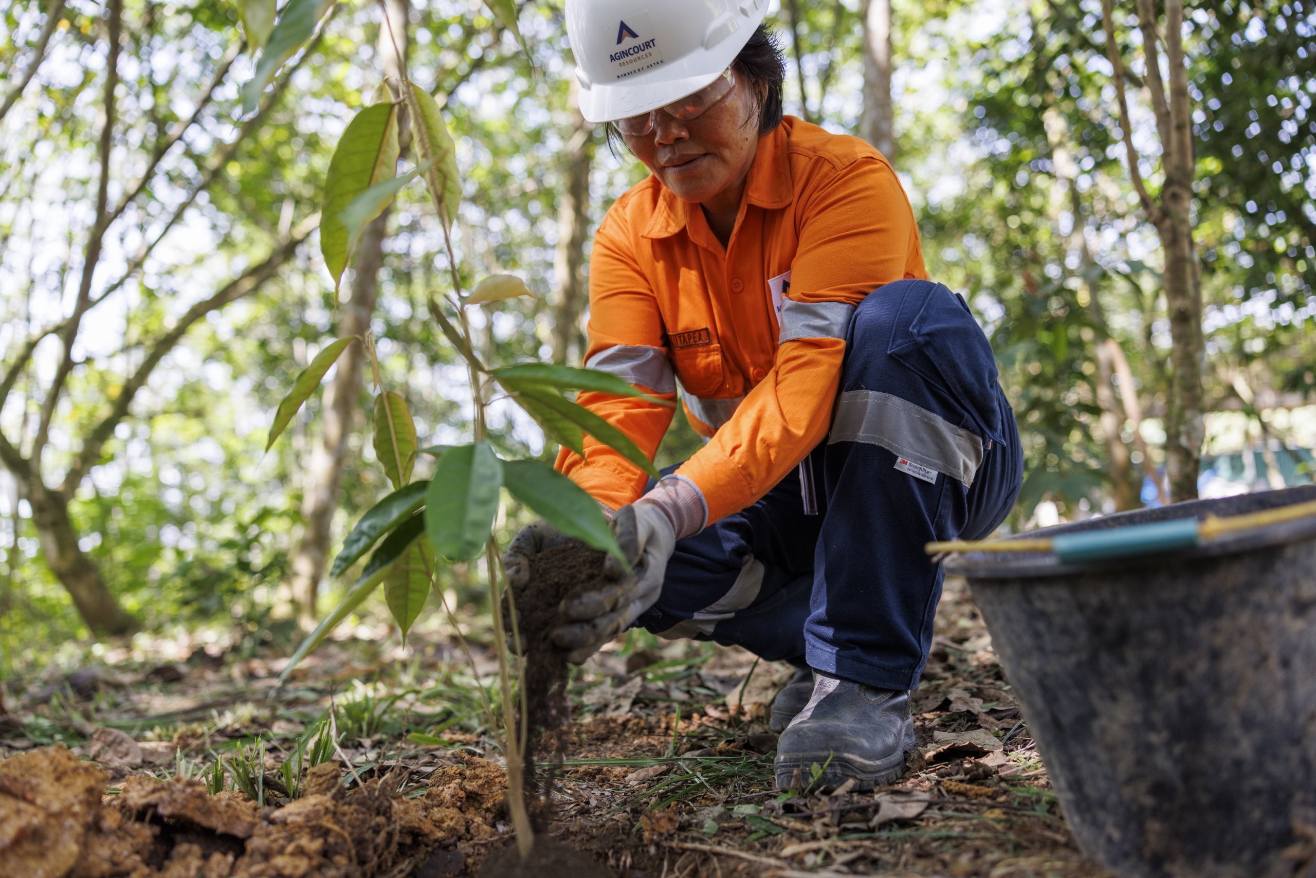 Site Rehabilitation