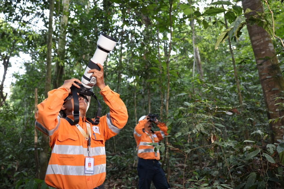 Environmental Management - Agincourt Resources