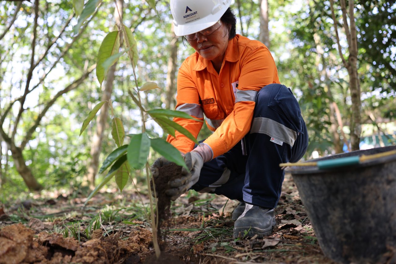 Towards Sustainable Mining - Agincourt Resources