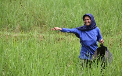 Aek Pahu Eco-Friendly Farming Practices