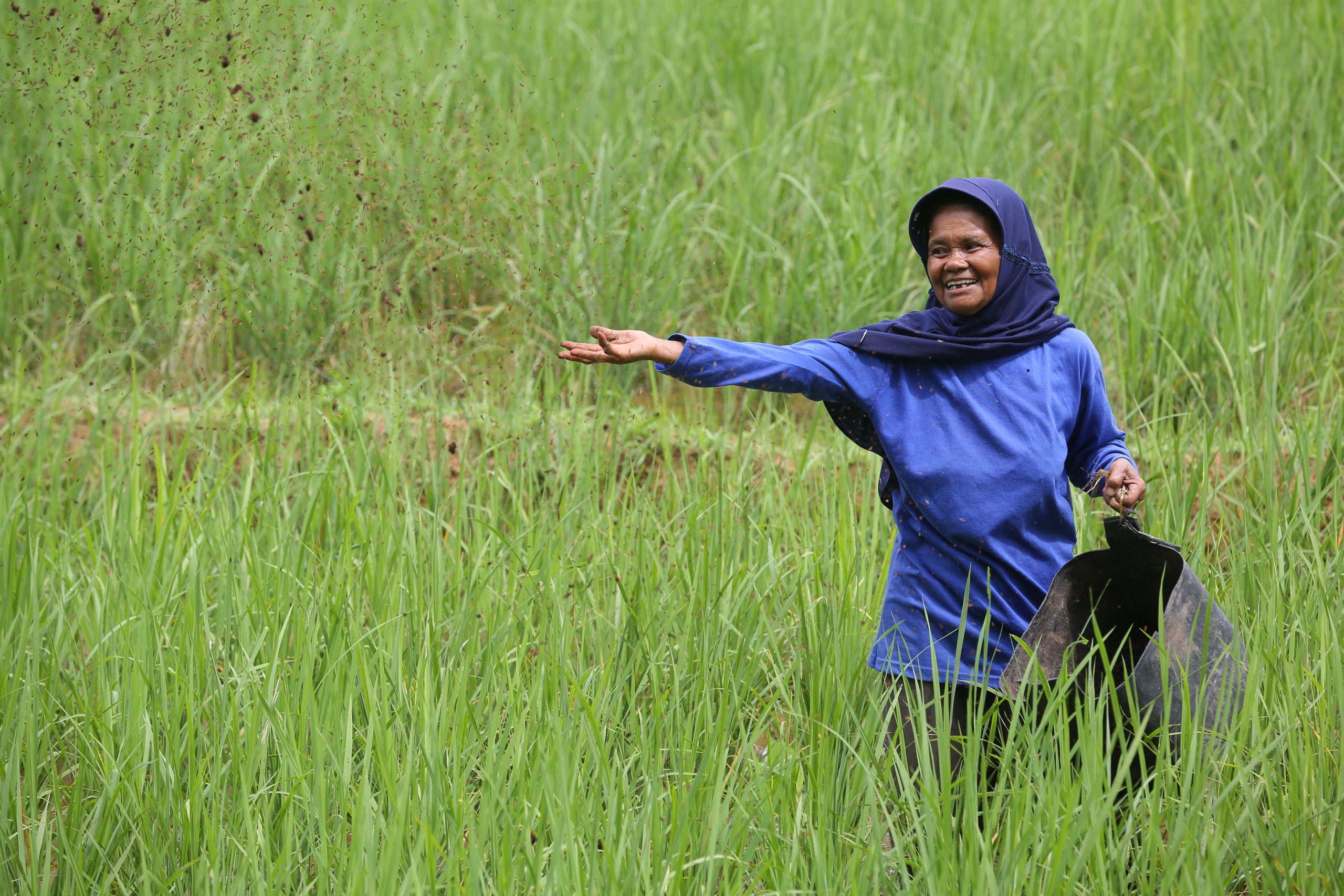 The Aek Pahu Farmers' Group was guided to use organic rice seeds, organic fertilizers, and even organic pesticides. Some farmers were even invited to join study visits to other areas to learn organic farming techniques.