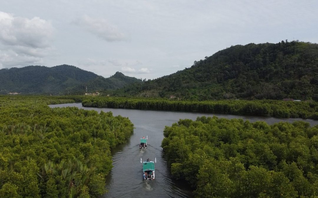Disaster Mitigation Due to Global Warming by Building Mangrove Ecosystems