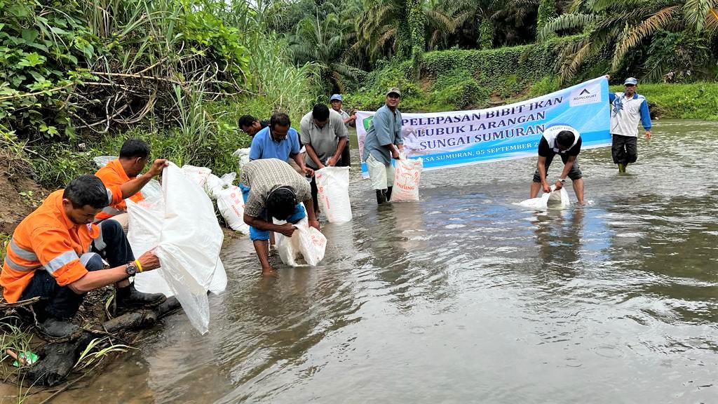 Photo 2: PT Agincourt Resources together with the community released thousands of jurung fish seeds and goldfish seeds in the bottom of the Sumuran River, Batangtoru, South Tapanuli, on Tuesday (5/9/2023). (Doc: PTAR)