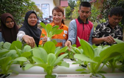 Supporting the Agricultural Sector in Batangtoru to Achieve Food Security Success