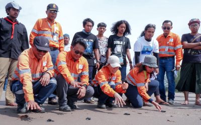 Dukung Keanekaragaman Hayati Laut, Agincourt Resources Siap Lepas 1.000 Tukik di Pantai Barat Muara Opu, Tapanuli Selatan