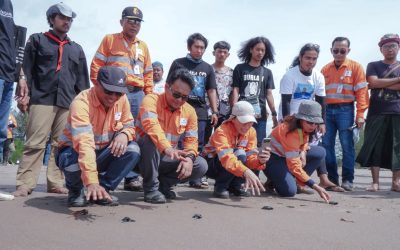1,000 Turtle Hatchlings Gradually Released at Muara Opu to Support Turtle Conservation 