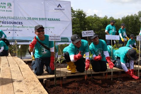 Mangroves: The Coastal Defender and Nature's Solution for Global ...