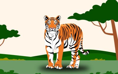 Menyelamatkan Harimau Sumatra dari Ambang Kepunahan 