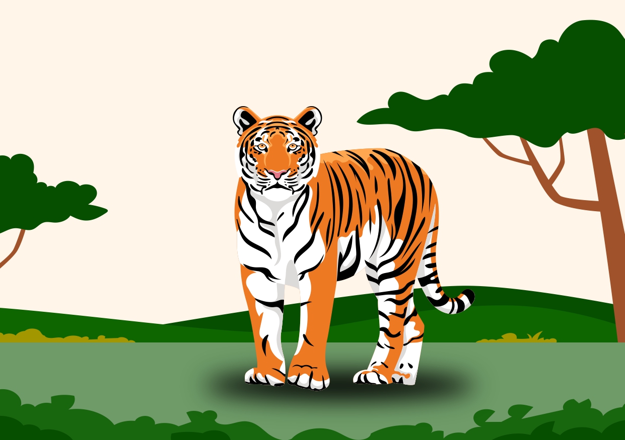 Sumatran Tigers; The King at the Brink of Extinction 