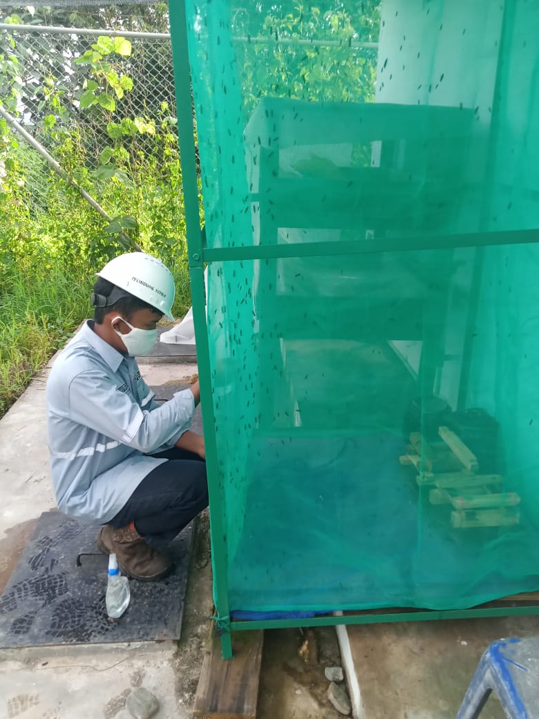 ICB Cooperative Explores the Economic Potential of Maggot Cultivation at the Waste Sortation Facility 