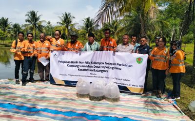 Releasing 8,000 Nila Nirwana Fish Seedlings to Become a New Source of Livelihood in Hapesong Village