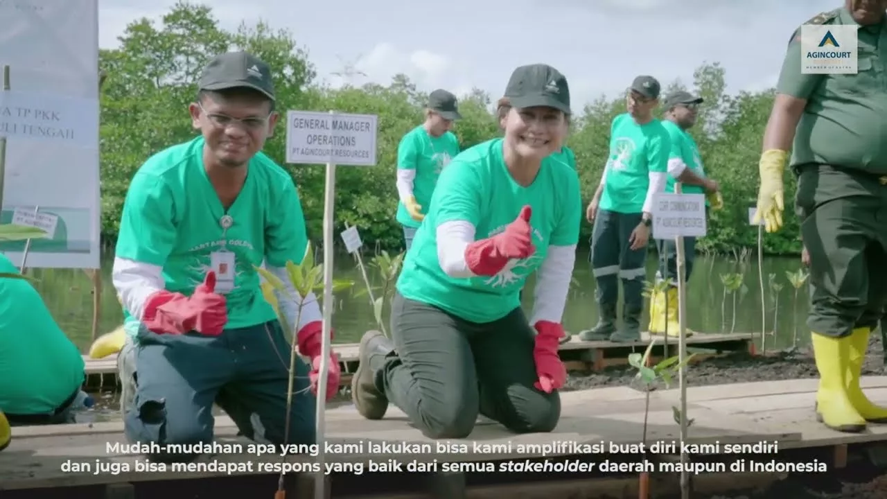 Dari Hati Untuk Bumi Aksi Tanam Mangrove Pt Agincourt Resources Agincourt Resources