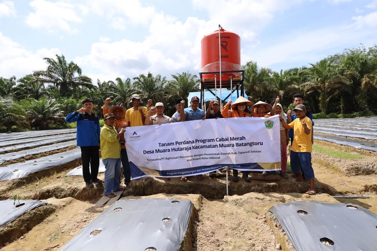 10,000 Red Chili Seedlings Boost South Tapanuli Agriculture