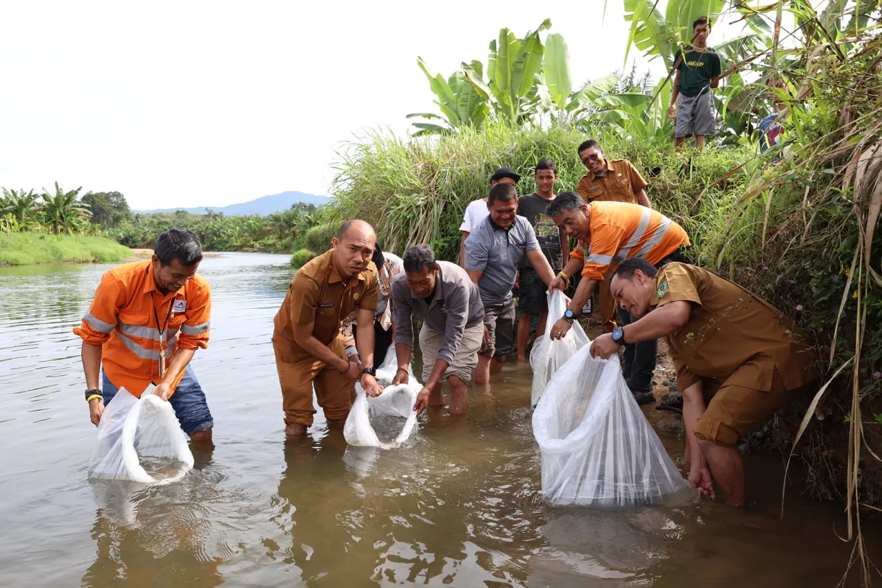 Photo 1: Community Relations Team of PT Agincourt Resources together with the Head of South Tapanuli Fisheries Service Saiful AP Nasution (second from left) and the community released thousands of jurung fish and goldfish into Garoga River in Batu Hula Village, Tuesday (6/8/2024). (Doc: PTAR)