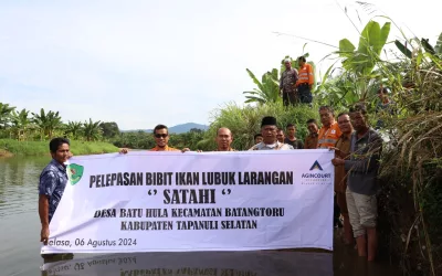 Ribuan Bibit Ikan Endemik Lokal Dilepaskan di Lubuk Larangan Sungai Batu Hula 