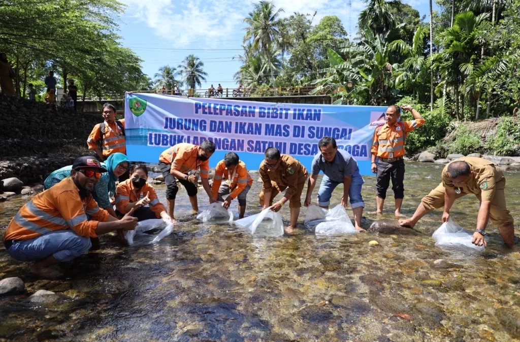 Foto 2: PT Agincourt Resources (PTAR) melepas bibit ikan di Sungai Garoga, Batang Toru, Tapanuli Selatan, Sumatra Utara. Sejak tahun 2022 hingga kini PTAR konsisten mengembangkan lubuk larangan di Batang Toru. (Dok: PTAR 