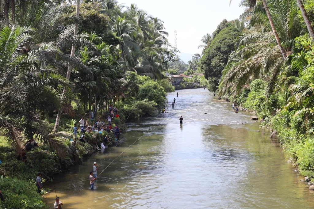 Foto 1: Suasana panen raya lubuk larangan di Sungai Garoga, Batang Toru, Tapanuli Selatan, Sumatra Utara. PT Agincourt Resources mendukung upaya pelestarian lingkungan hidup melalui pembukaan lubuk larangan di berbagai desa di sekitar area tambang.  (Dok: PTAR)