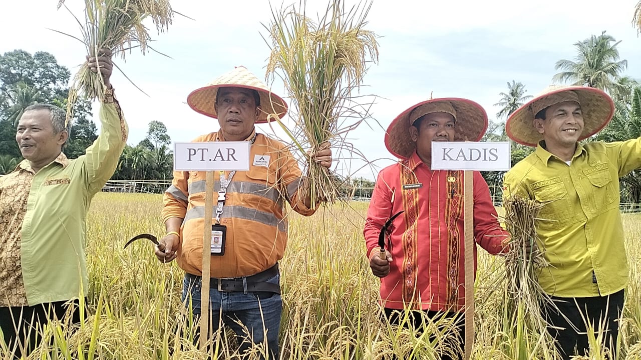 Grand Success! Mawar Farmers Group Celebrated Abundant Harvest of High-Quality Rice Seeds 