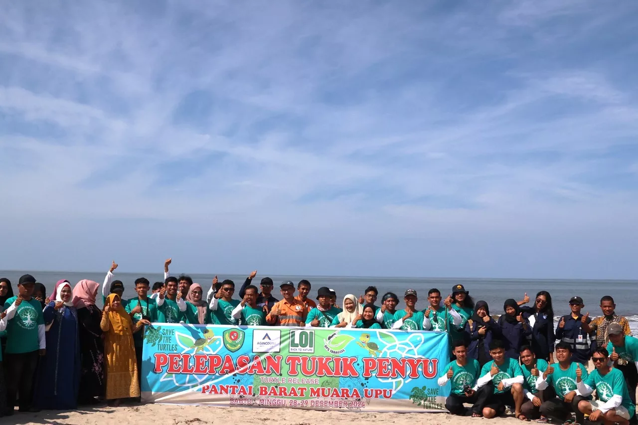 Upaya Konservasi Penyu Berkelanjutan Melalui Pelepasan Puluhan Tukik di Pantai Barat Muara Opu 