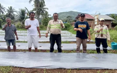 Menumbuhkan Ekonomi Lokal Lewat Tanam Perdana Semangka 