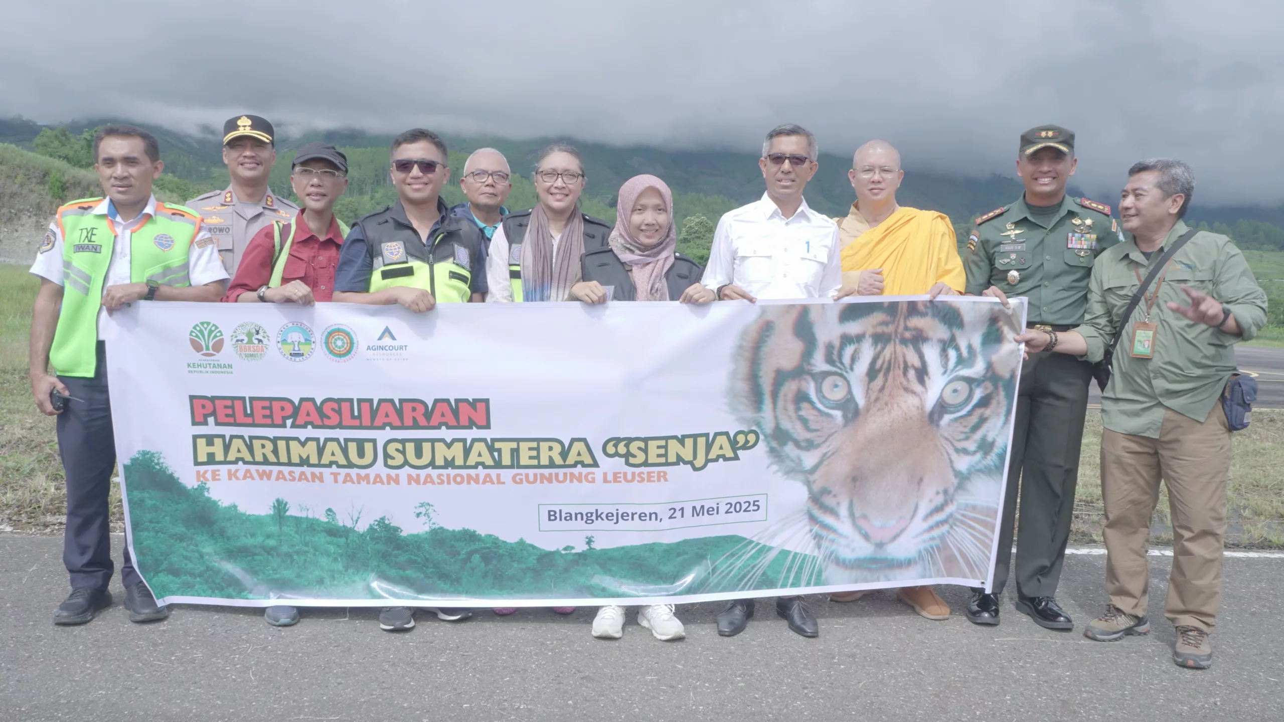 agincourt-resources-turunkan-helikopter-pelepasliaran-harimau-sumatra-senja-ke-tngl-sukses