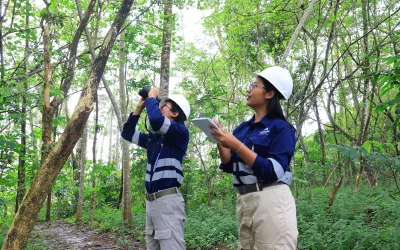 biodiversity-batang-toru-rumah-bagi-flora-dan-fauna-langka-dunia