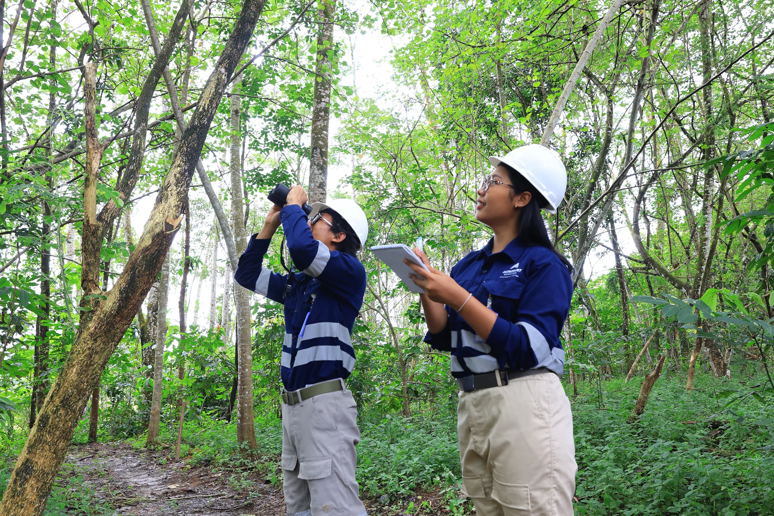 biodiversity-batang-toru-rumah-bagi-flora-dan-fauna-langka-dunia