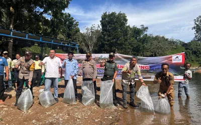 Menebar Harapan di Sungai: 6.000 Benih Ikan Jurung untuk Alam dan Generasi Mendatang 