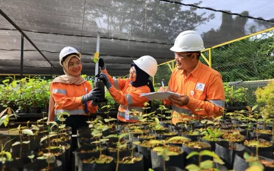 Nursery Tanaman Lokal: Membangun Masa Depan Hutan Secara Berkelanjutan