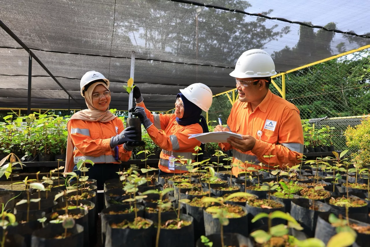 Nursery Tanaman Lokal: Membangun Masa Depan Hutan Secara Berkelanjutan