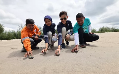 Penyu dan Harapan: Jejak Konservasi Agincourt Resources di Muara Opu