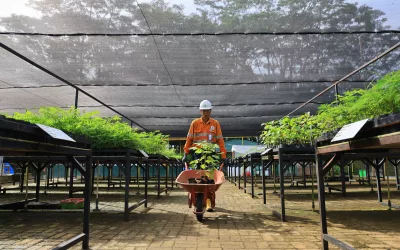 Reklamasi Tambang: Menanam Harapan, Menjaga Masa Depan