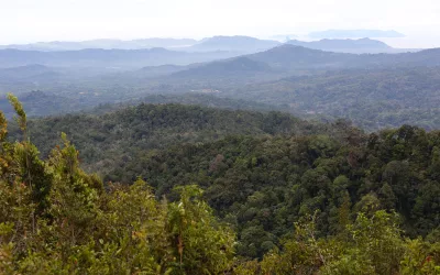 Harmoni Bumi, Warisan Lestari: Memahami Pentingnya BAMP bagi Kehidupan