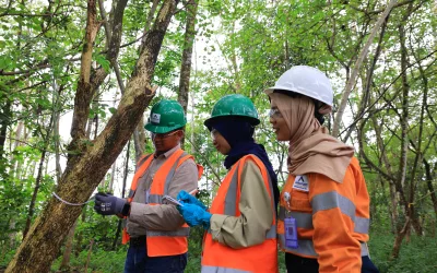 Reklamasi Pascatambang: Komitmen Berkelanjutan untuk Masa Depan yang Lebih Hijau