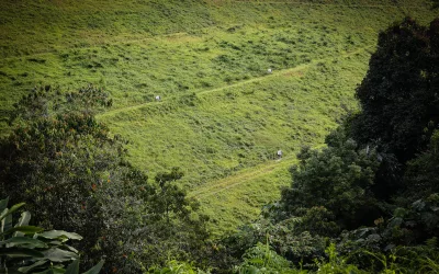 Hydroseeding, Hijaukan Martabe, Pulihkan Alam