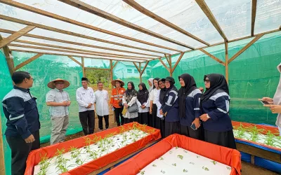 Mengukur Dampak, Menyemai Perubahan: Monitoring and Evaluation Pelatihan Guru SMK di Tapanuli Selatan