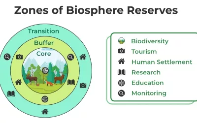The Role of Buffer Zones and Ecological Corridors in Biodiversity Conservation