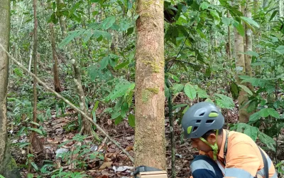 Monitoring through Technology, Preserving Nature: Camera Trap Installation for Biodiversity Monitoring in Mining Areas