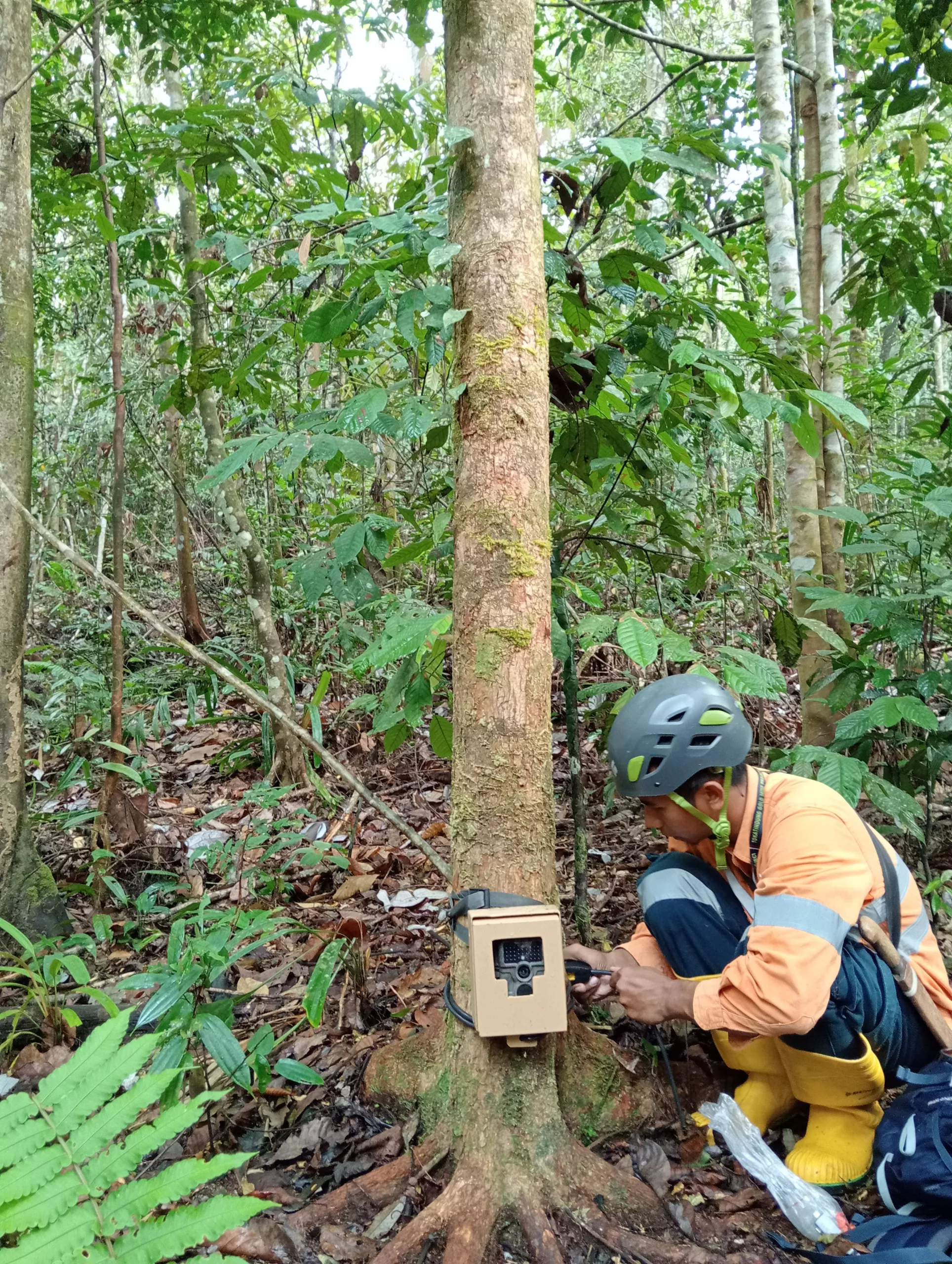 WhatsApp Image 2026-02-10 at 06.40.31 (1) (1)