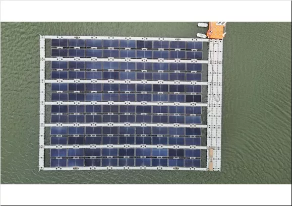 WhatsApp Image 2026-02-19 at 8.13.04 AM