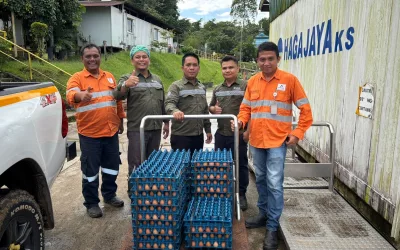 Martabe Chicken Farm Perkuat Pemberdayaan Ekonomi Masyarakat melalui Penjualan Telur Ayam Perdana