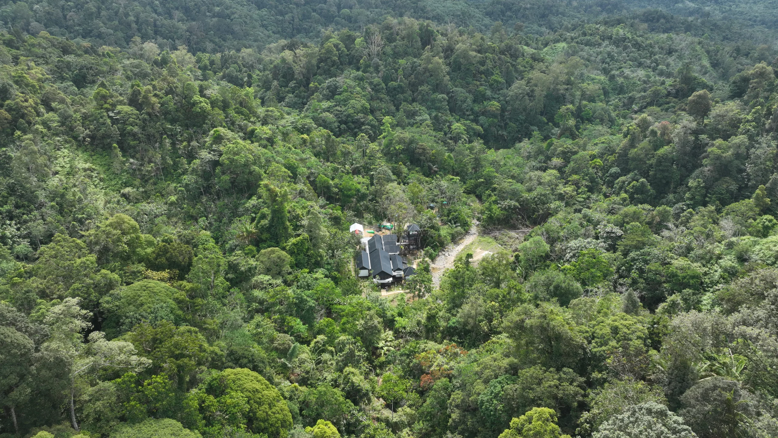 DJI_0218