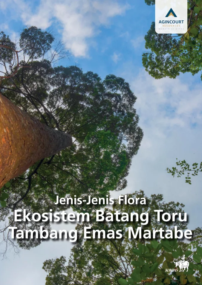 buku-pengelolaan-sumber-daya-terintegrasi