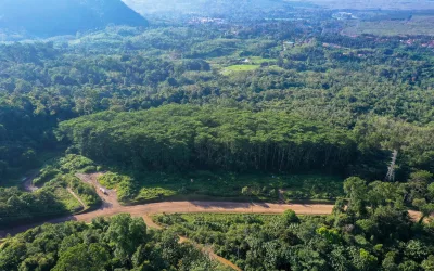 Membaca Jejak Satwa di Balik Aktivitas Operasional